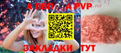 прущие грибы Новозыбков