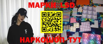 прущие грибы Новозыбков