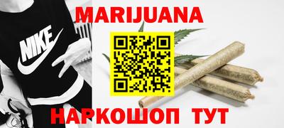 прущие грибы Новозыбков