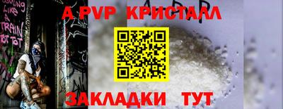 прущие грибы Новозыбков