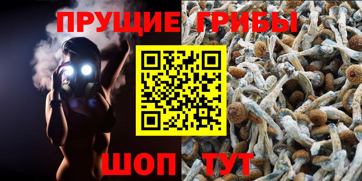 Галлюциногенные грибы MAGIC MUSHROOMS  Галлюциногенные грибы прущие грибы  Вход с VPN  Тихвин 